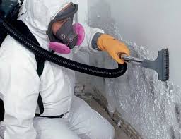 Best Mold Prevention Services  in Lovington, NM